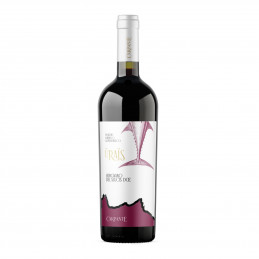 Urais - Carignano del...