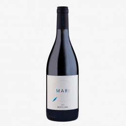 copy of Pontis, Vernaccia...