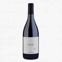 copy of Pontis, Vernaccia...