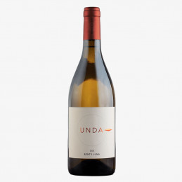 copy of Pontis, Vernaccia...