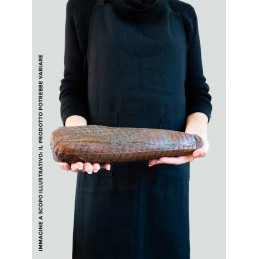 Bresaola di Tonno Pinna...