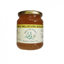 Bio-Wildblütenhonig –...