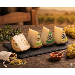 selezione formaggi sardi