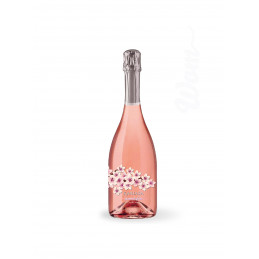 Kariasa - Vino Rosato -...