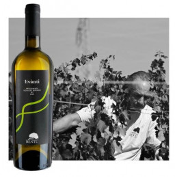 Livànti - Vino Bianco -...