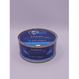 Mittelmeer-Thunfisch in der...